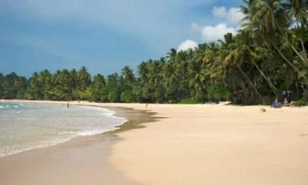 Panorama of Mirissa Beach, Sri Lanka