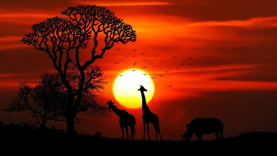 Sunset with giraffe