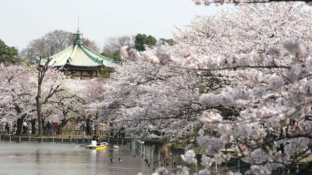 UENO PARK